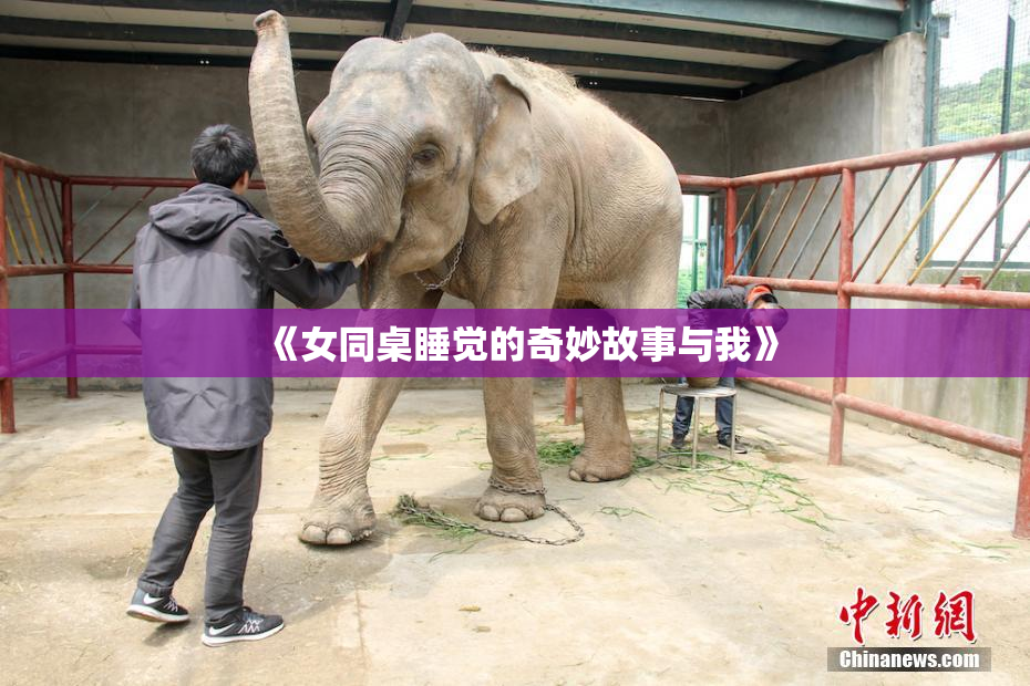 《女同桌睡觉的奇妙故事与我》