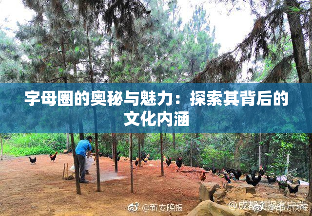 字母圈的奥秘与魅力：探索其背后的文化内涵