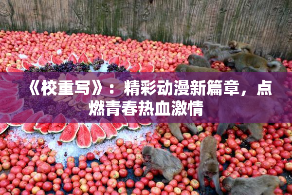 《校重写》：精彩动漫新篇章，点燃青春热血激情