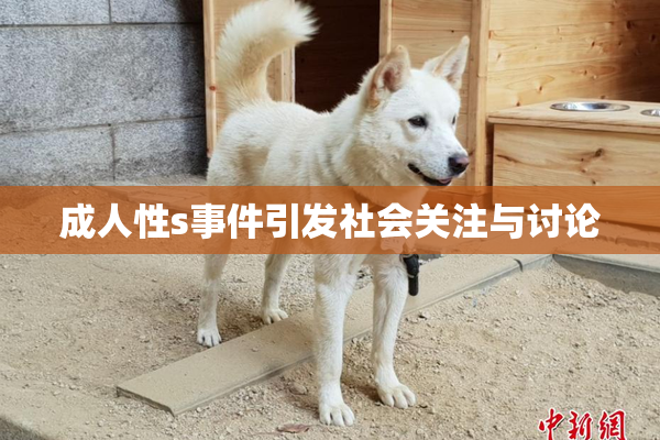 成人性s事件引发社会关注与讨论