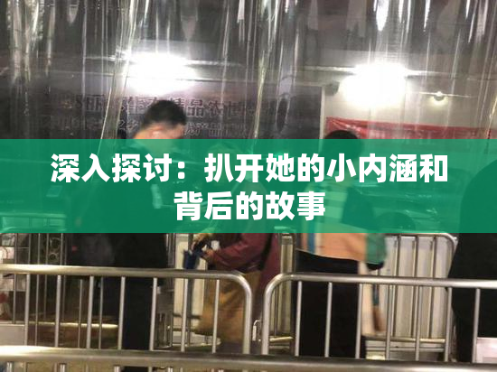 深入探讨：扒开她的小内涵和背后的故事