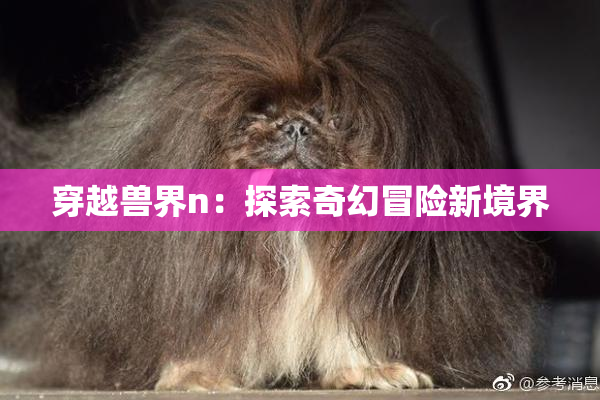 穿越兽界n：探索奇幻冒险新境界