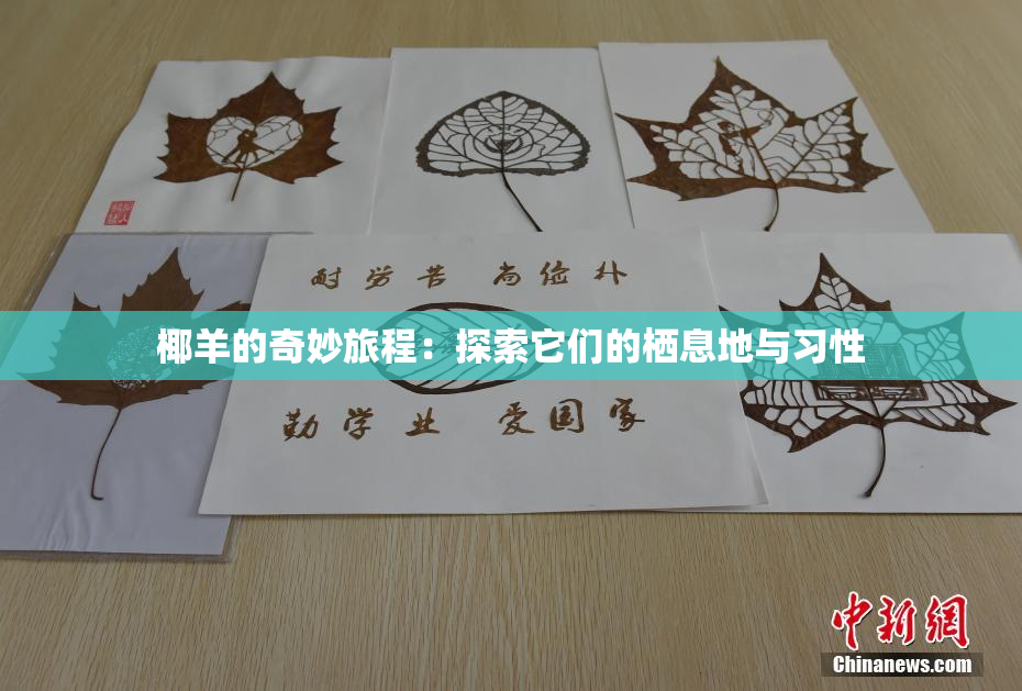 椰羊的奇妙旅程：探索它们的栖息地与习性