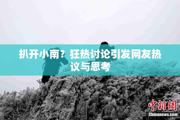 扒开小南？狂热讨论引发网友热议与思考