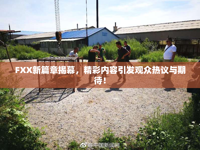 FXX新篇章揭幕，精彩内容引发观众热议与期待！