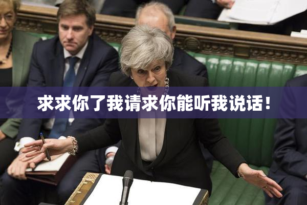 求求你了我请求你能听我说话！