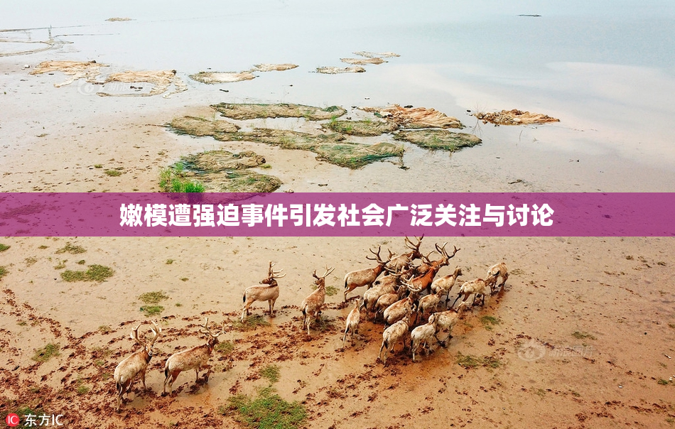 嫩模遭强迫事件引发社会广泛关注与讨论
