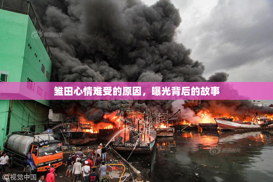 雏田心情难受的原因，曝光背后的故事