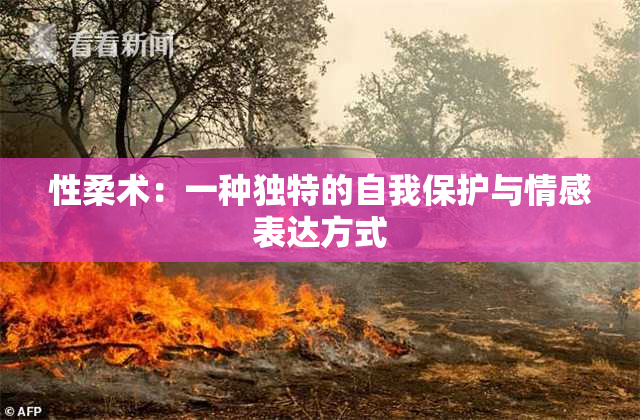 性柔术：一种独特的自我保护与情感表达方式