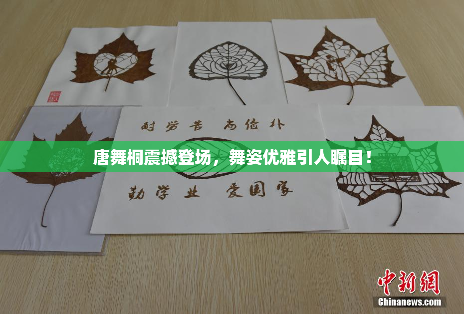 唐舞桐震撼登场，舞姿优雅引人瞩目！