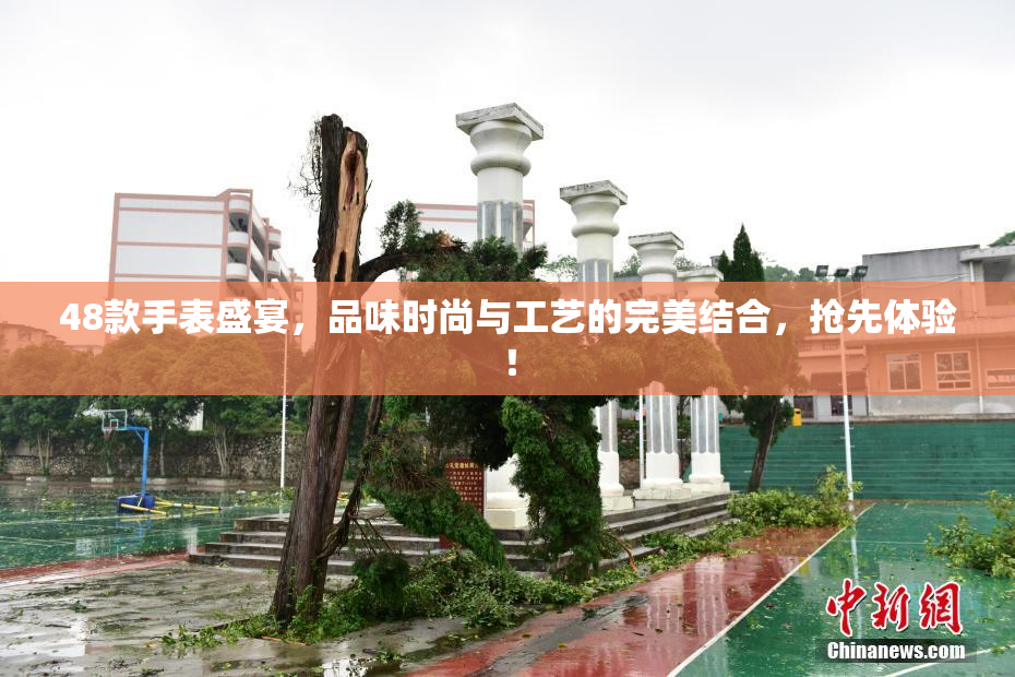 48款手表盛宴，品味时尚与工艺的完美结合，抢先体验！