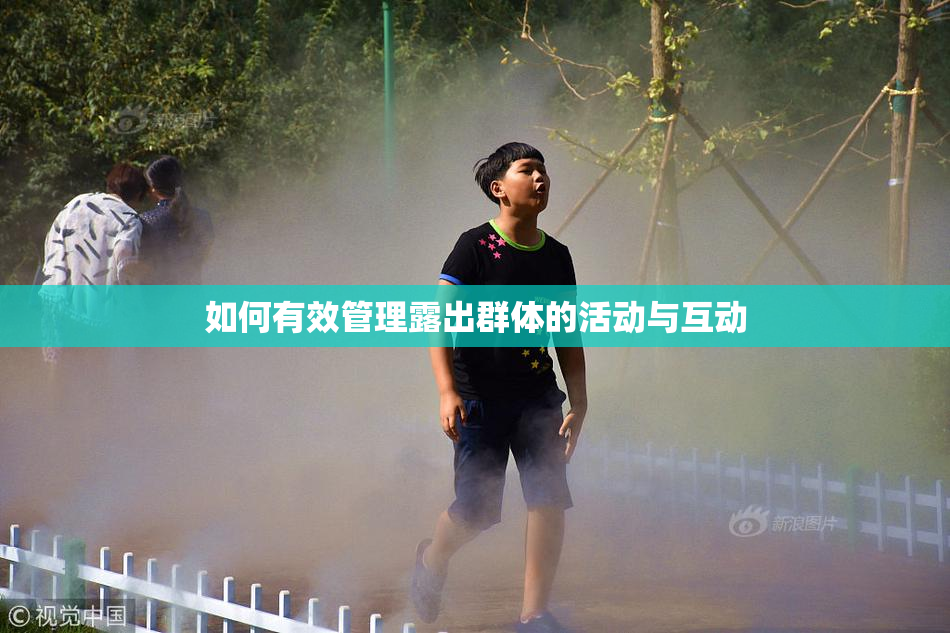 如何有效管理露出群体的活动与互动