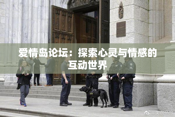 爱情岛论坛：探索心灵与情感的互动世界