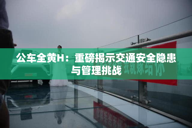 公车全黄H：重磅揭示交通安全隐患与管理挑战