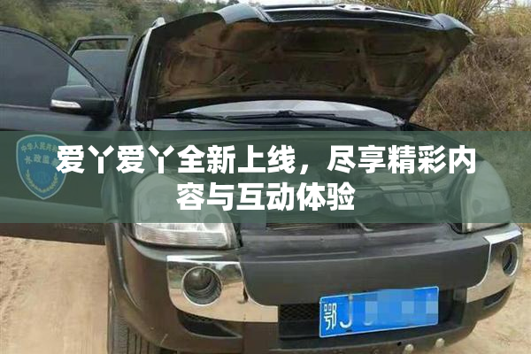 爱丫爱丫全新上线，尽享精彩内容与互动体验