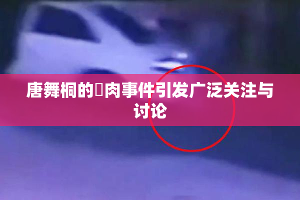唐舞桐的婬肉事件引发广泛关注与讨论