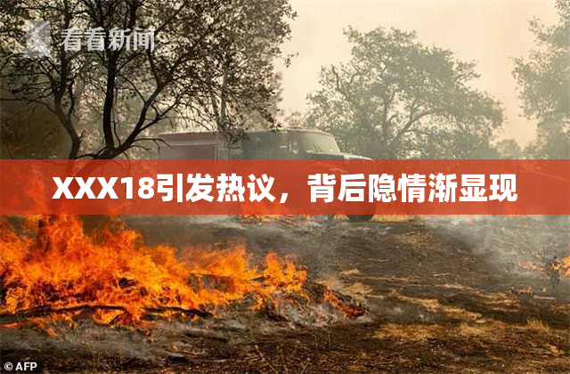 XXX18引发热议，背后隐情渐显现