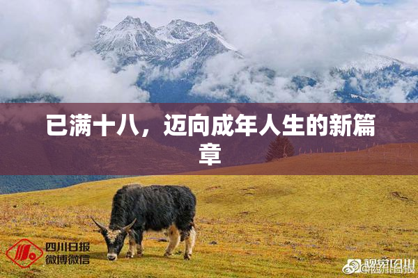 已满十八，迈向成年人生的新篇章