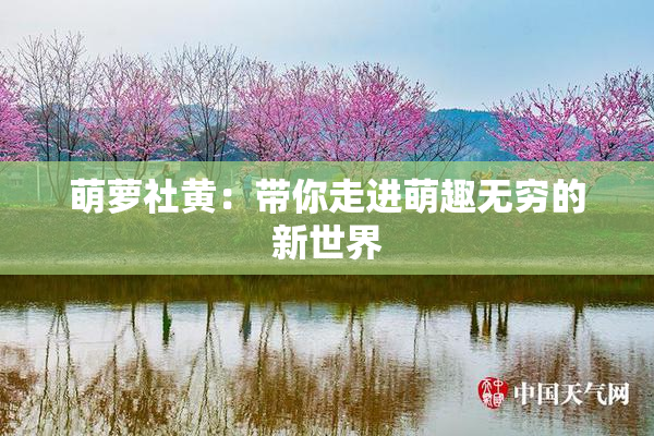 萌萝社黄：带你走进萌趣无穷的新世界