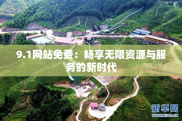 9.1网站免费：畅享无限资源与服务的新时代