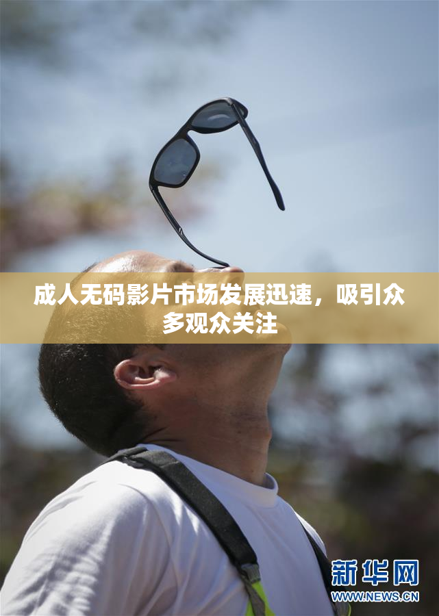 成人无码影片市场发展迅速，吸引众多观众关注
