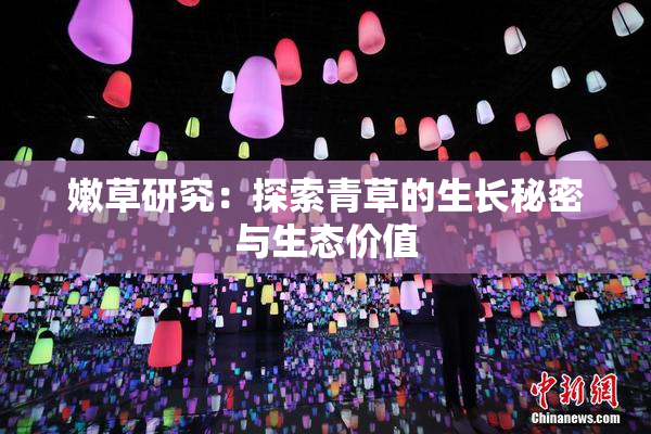 嫩草研究：探索青草的生长秘密与生态价值