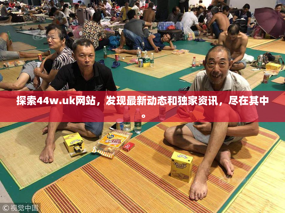 探索44w.uk网站，发现最新动态和独家资讯，尽在其中。