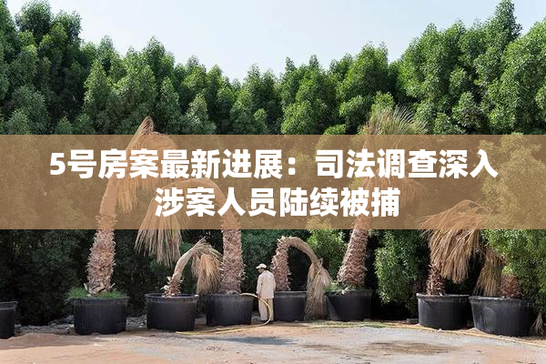 5号房案最新进展：司法调查深入 涉案人员陆续被捕