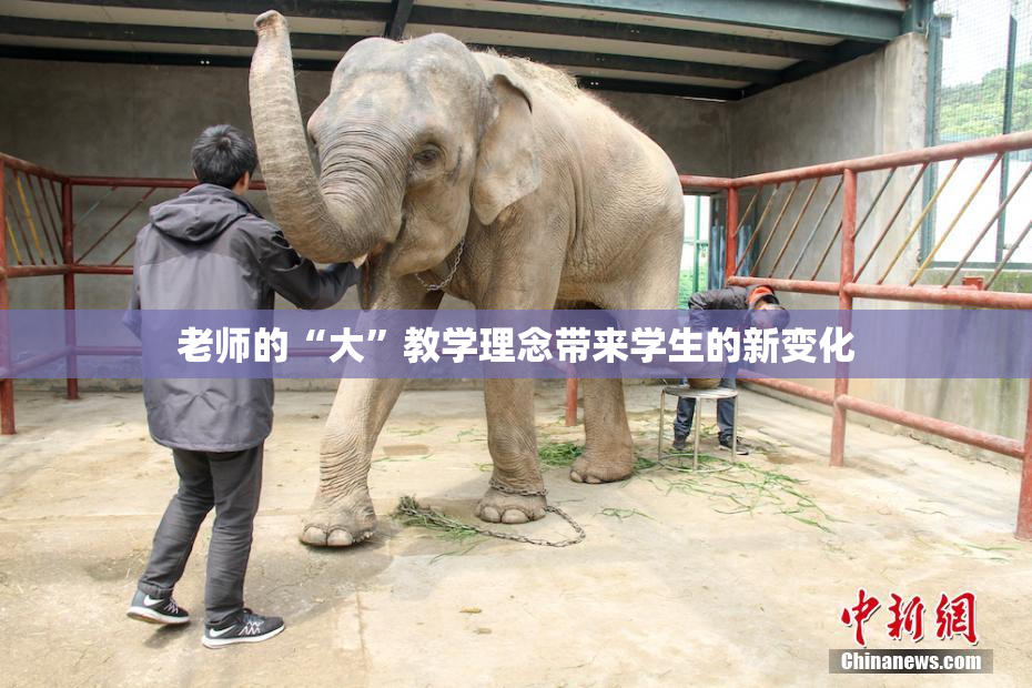 老师的“大”教学理念带来学生的新变化
