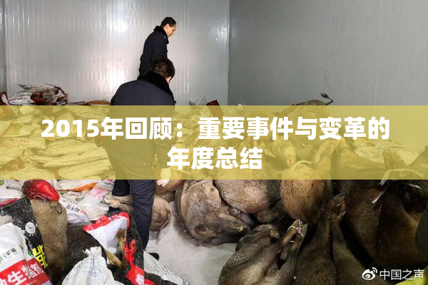 2015年回顾：重要事件与变革的年度总结