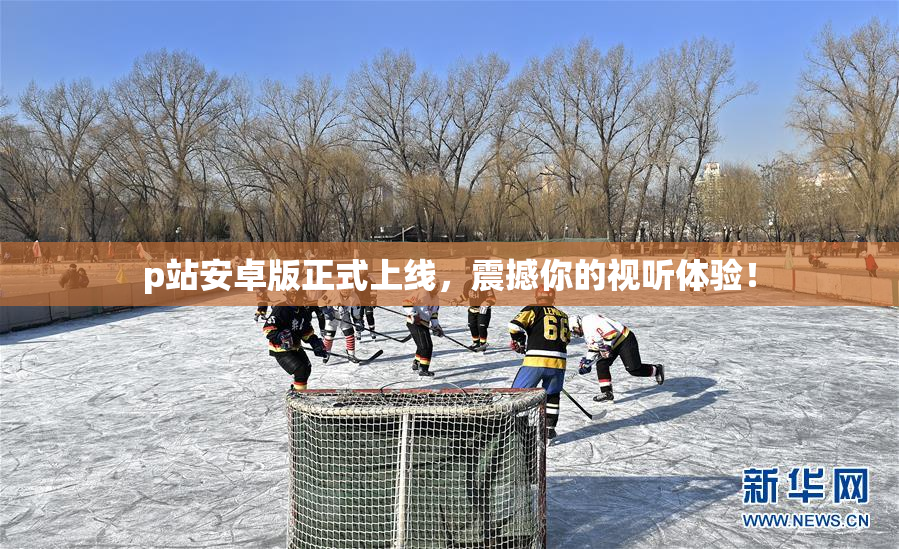 p站安卓版正式上线，震撼你的视听体验！