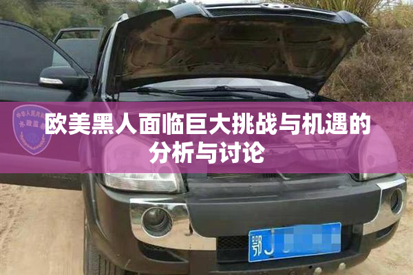 欧美黑人面临巨大挑战与机遇的分析与讨论