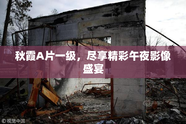 秋霞A片一级，尽享精彩午夜影像盛宴