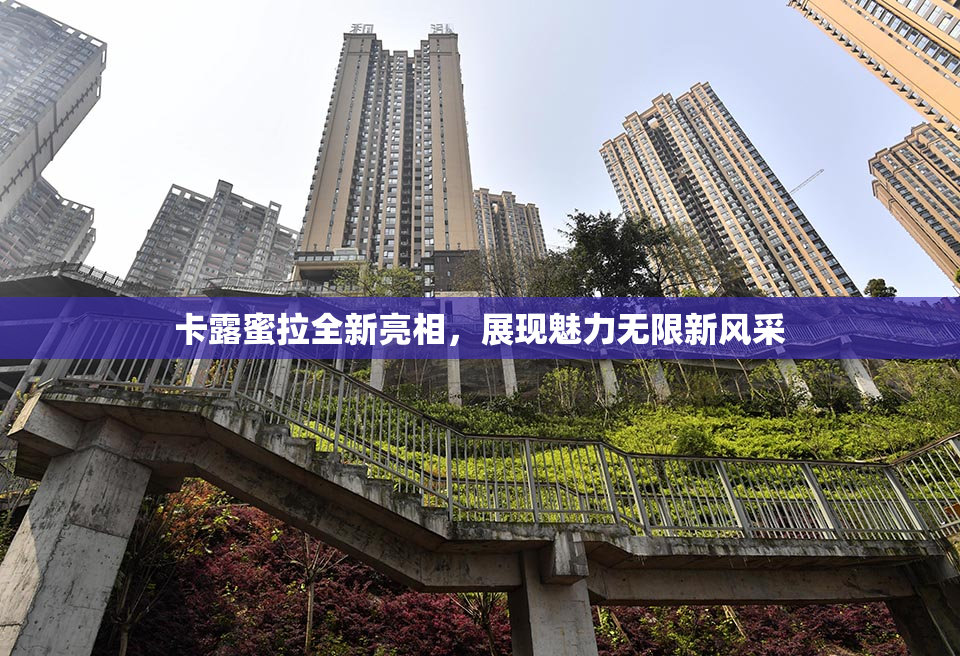 卡露蜜拉全新亮相，展现魅力无限新风采