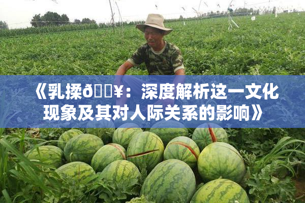 《乳揉🔥：深度解析这一文化现象及其对人际关系的影响》