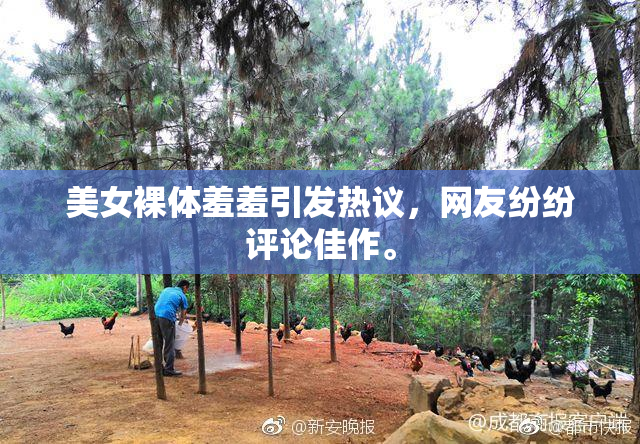 美女裸体羞羞引发热议，网友纷纷评论佳作。