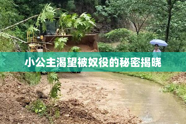 小公主渴望被奴役的秘密揭晓
