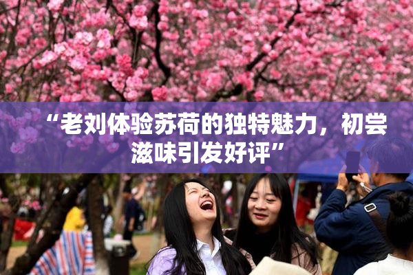 “老刘体验苏荷的独特魅力，初尝滋味引发好评”