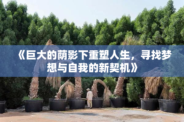 《巨大的荫影下重塑人生，寻找梦想与自我的新契机》