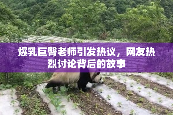 爆乳巨臀老师引发热议，网友热烈讨论背后的故事