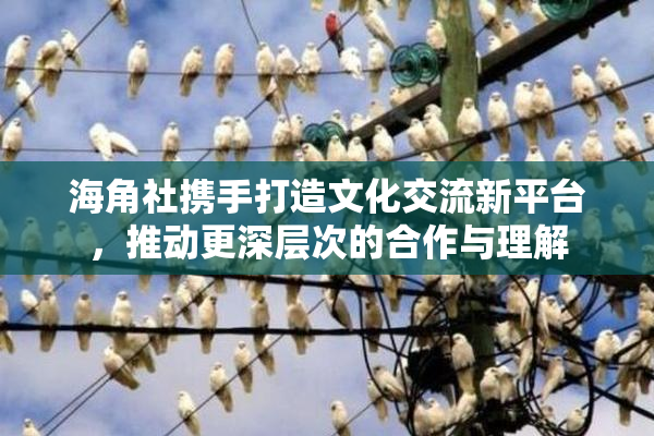 海角社携手打造文化交流新平台，推动更深层次的合作与理解