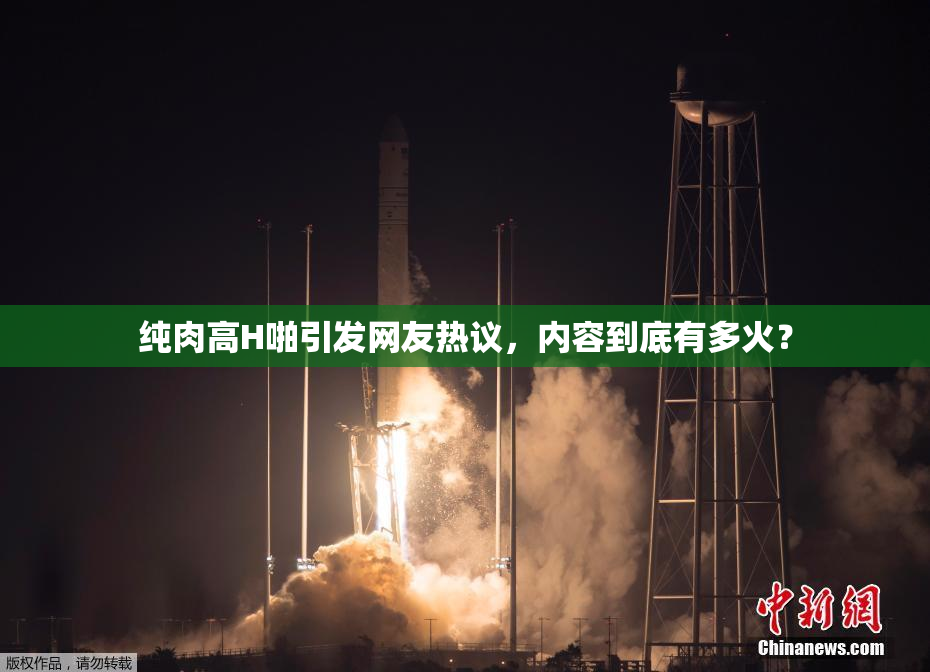 纯肉高H啪引发网友热议，内容到底有多火？