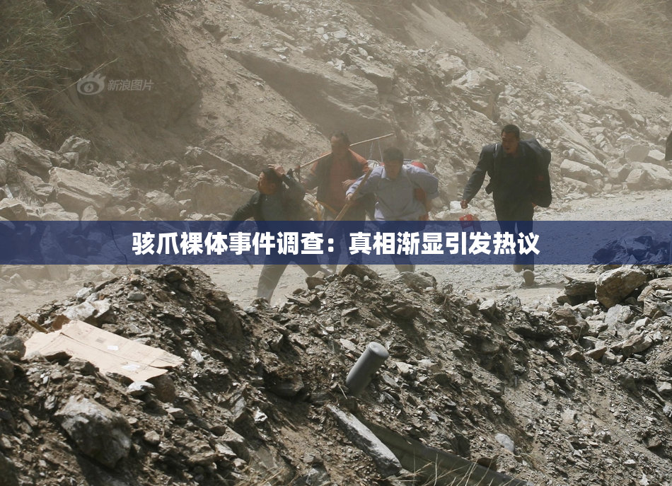 骇爪裸体事件调查：真相渐显引发热议