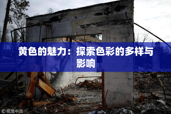 黄色的魅力：探索色彩的多样与影响