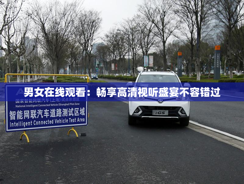 男女在线观看：畅享高清视听盛宴不容错过