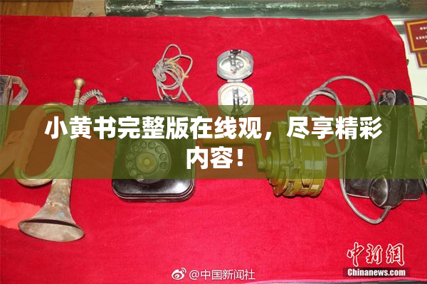 小黄书完整版在线观，尽享精彩内容！