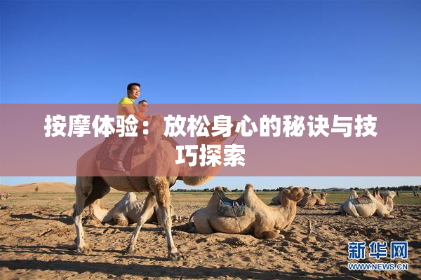 按摩体验：放松身心的秘诀与技巧探索