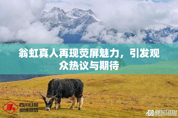 翁虹真人再现荧屏魅力，引发观众热议与期待