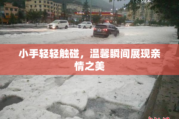 小手轻轻触碰，温馨瞬间展现亲情之美