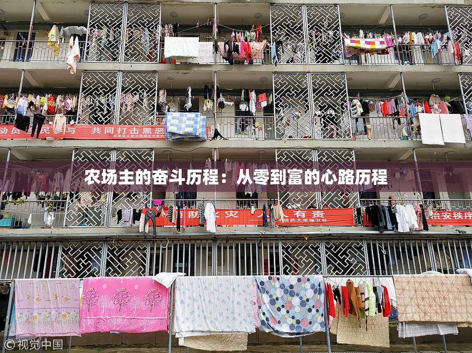 农场主的奋斗历程：从零到富的心路历程